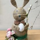 Wizyta Studyjna 2026